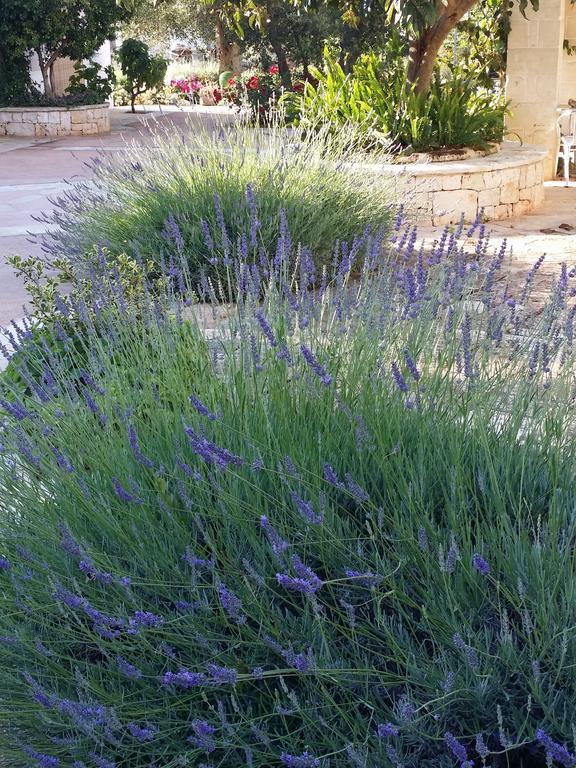 Il Melograno Bed & Breakfast Ceglie Messapica Dış mekan fotoğraf